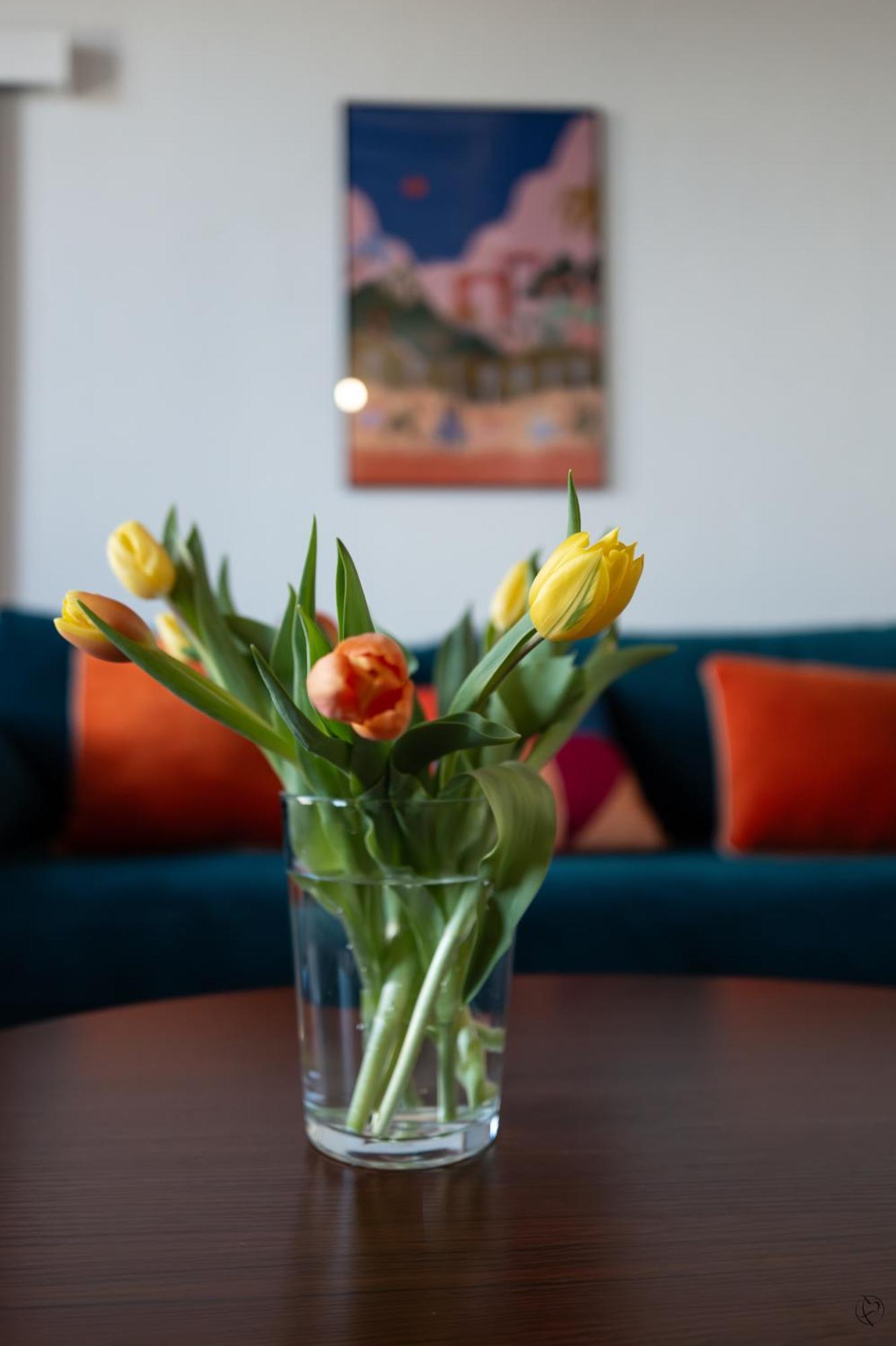 Orange Sunset Appartement Draguignan Buitenkant foto
